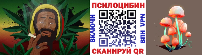 Галлюциногенные грибы Psilocybine cubensis Краснодар